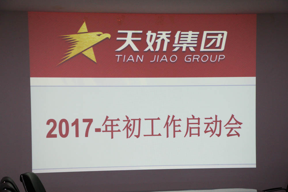 天嬌集團2017年年初工作啟動(dòng)會(huì )召開(kāi)