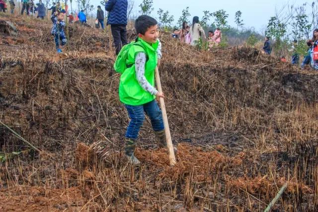 建設生態(tài)邵陽(yáng)城，天嬌集團在行動(dòng)