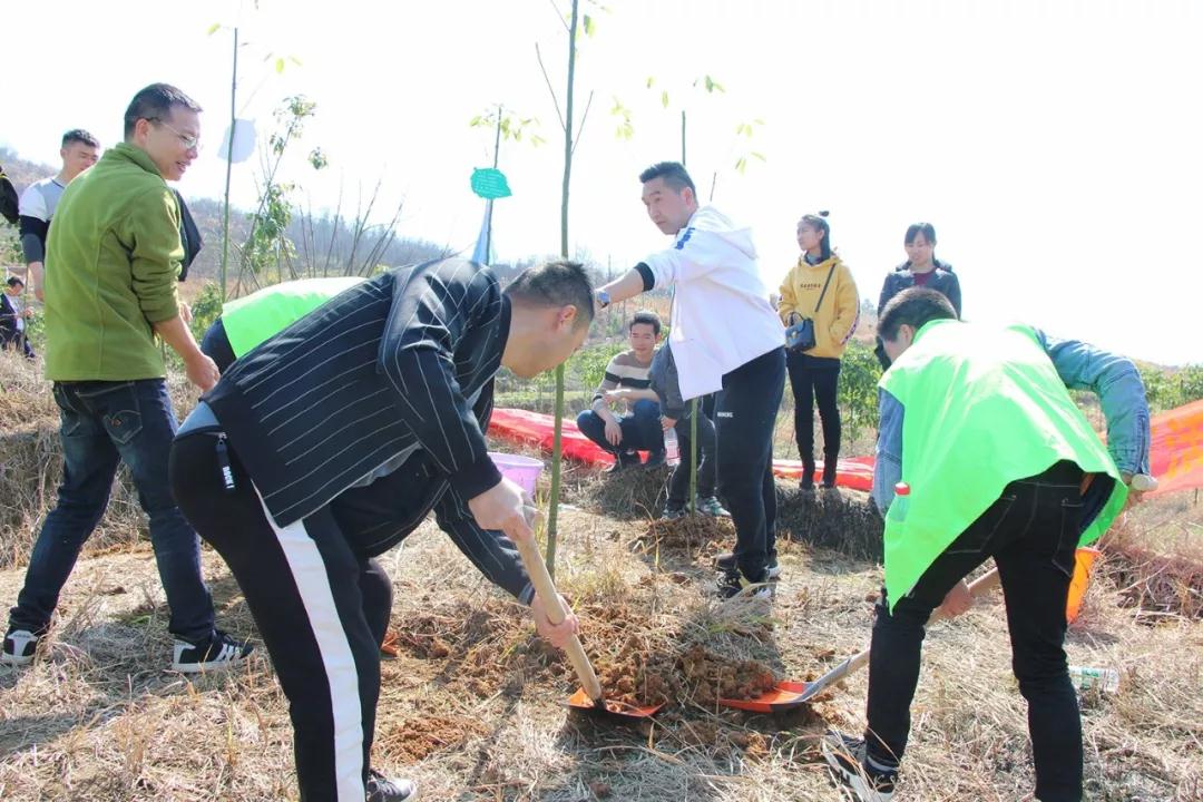 天嬌集團開(kāi)展義務(wù)植樹(shù)活動(dòng)