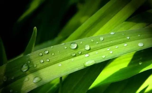 白露丨與CR-V一起，品味秋天的氣息