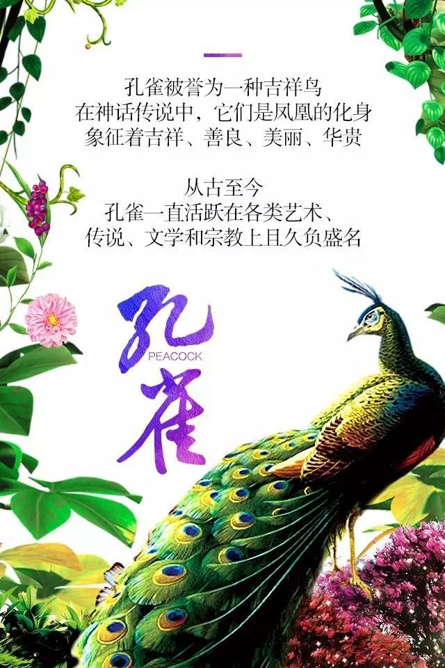 【915-918邵陽(yáng)秋季車(chē)展】鳳臨枝頭，雀雀雀雀雀實(shí)驚艷！