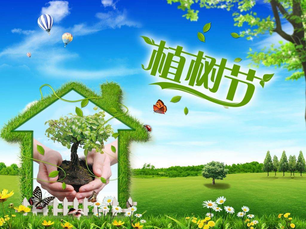 北京現代“智現代，植未來(lái)”，你我共建森林邵陽(yáng)