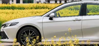 丨廣汽豐田天嬌寶慶店丨全新凱美瑞智能陪伴，將帶你馭見(jiàn)絕美婺源