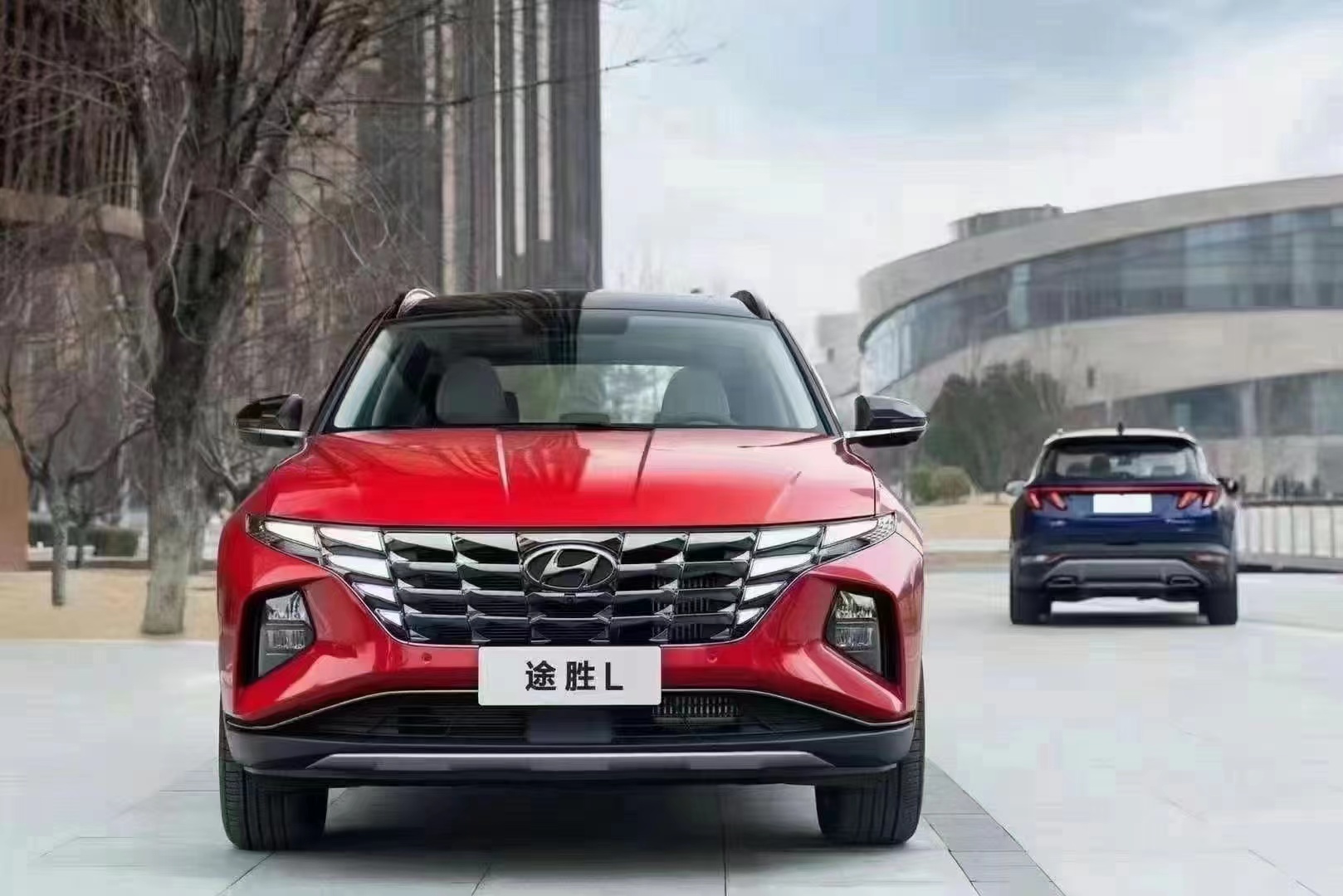 如何呵護家人，看這兒！