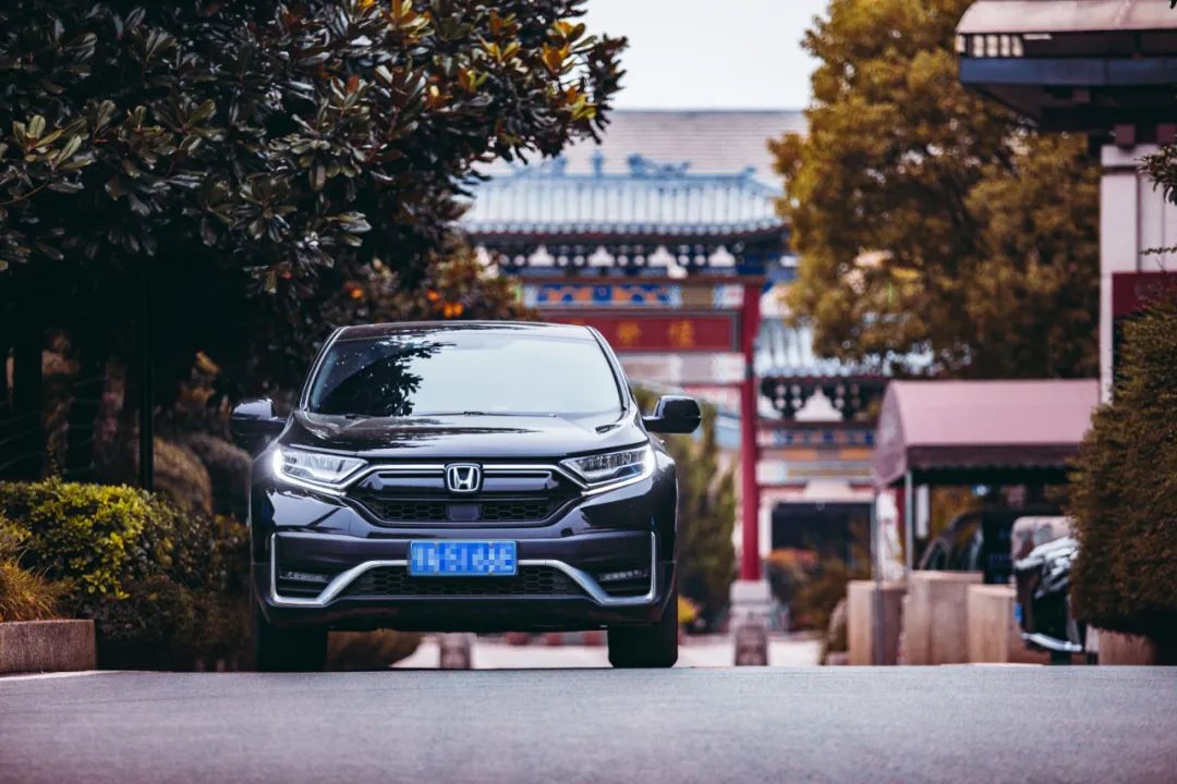 本人有料 | 愿歷經(jīng)千帆，歸來(lái)仍是少年